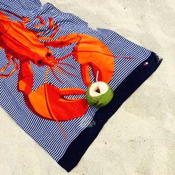 Optical illusion of shrimp holding coconut on towel at sandy beach