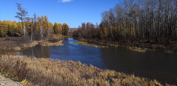 Scenic view of lake in forest against sky