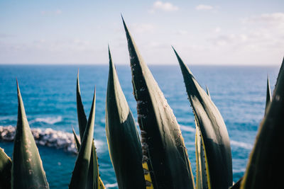 Panoramic view of sea against sky