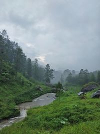 Scenic view of landscape against sky