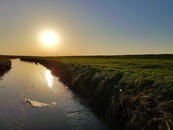 Scenic view of field against clear sky during sunset