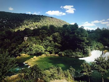 Scenic view of river in forest against sky