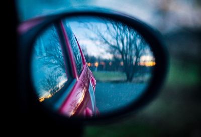 Reflection of tree on side-view mirror