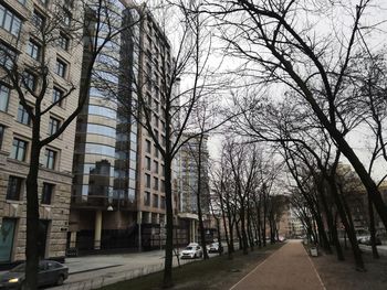 Road amidst bare trees and buildings against sky