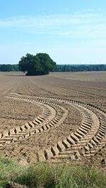 Scenic view of rural landscape