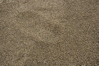 Full frame shot of textured surface