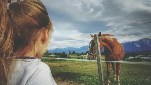 Horse standing on field against sky