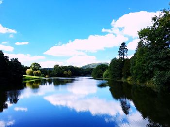 Reflection of trees in calm lake