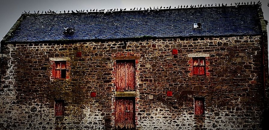 architecture, built structure, building exterior, roof, house, outdoors, no people, day, red, tiled roof