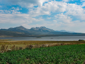 Scenic view of field against sky