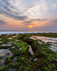 Scenic view of sea against sky during sunset