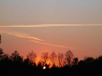 Low angle view of silhouette trees against sky during sunset