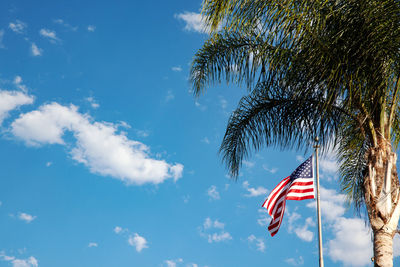 Blue sky background with palm tree, american flag and copy space.