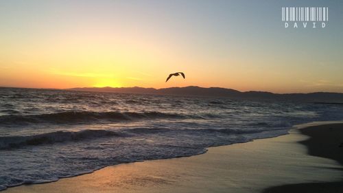 Scenic view of sea at sunset