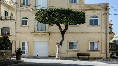 Buildings in city