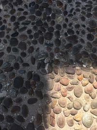 Full frame shot of pattern