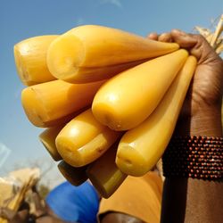 Cropped hand of woman holding corn