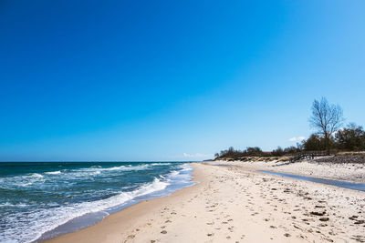 Scenic view of beach against clear blue sky