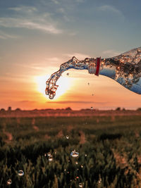 Close-up of icicles on field against sky during sunset