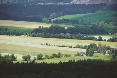 High angle view of trees on field