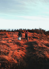 Rear view of people walking on field against sky