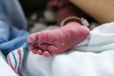 The foot of a newborn baby laying in a hospital with visible id tag