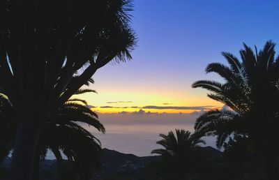 Silhouette palm trees against sky at sunset