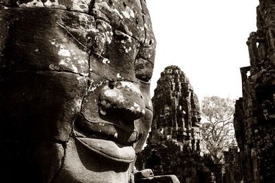 Rock formation in the forest