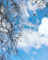 Low angle view of bare tree against blue sky