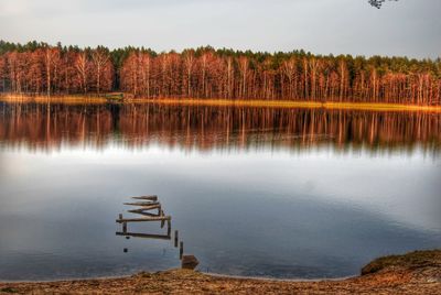 Reflection of trees in lake