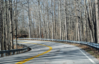 Road amidst bare trees in forest