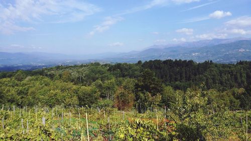 Scenic view of mountains against blue sky