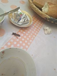 High angle view of crab in bowl on table