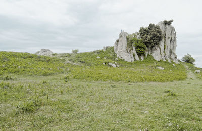 Scenic view of rocks on field against sky