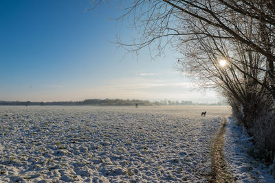 Scenic view of landscape against sky during winter