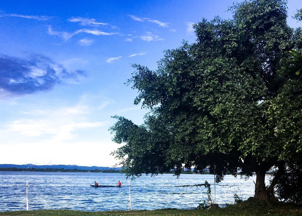 water, nautical vessel, tree, sky, transportation, cloud - sky, sea, mode of transport, nature, day, beauty in nature, scenics, outdoors, blue, sailing, men, real people, jet boat, people