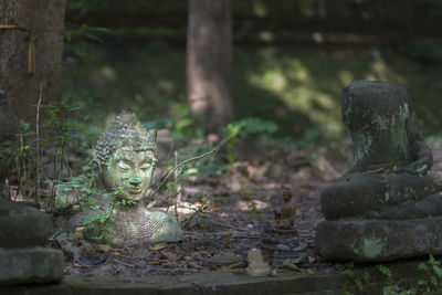 Statue against temple