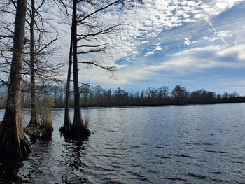 Scenic view of lake in forest against sky