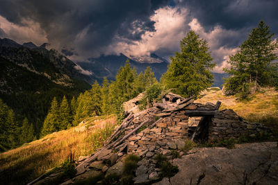 Scenic view of trees and mountains against sky