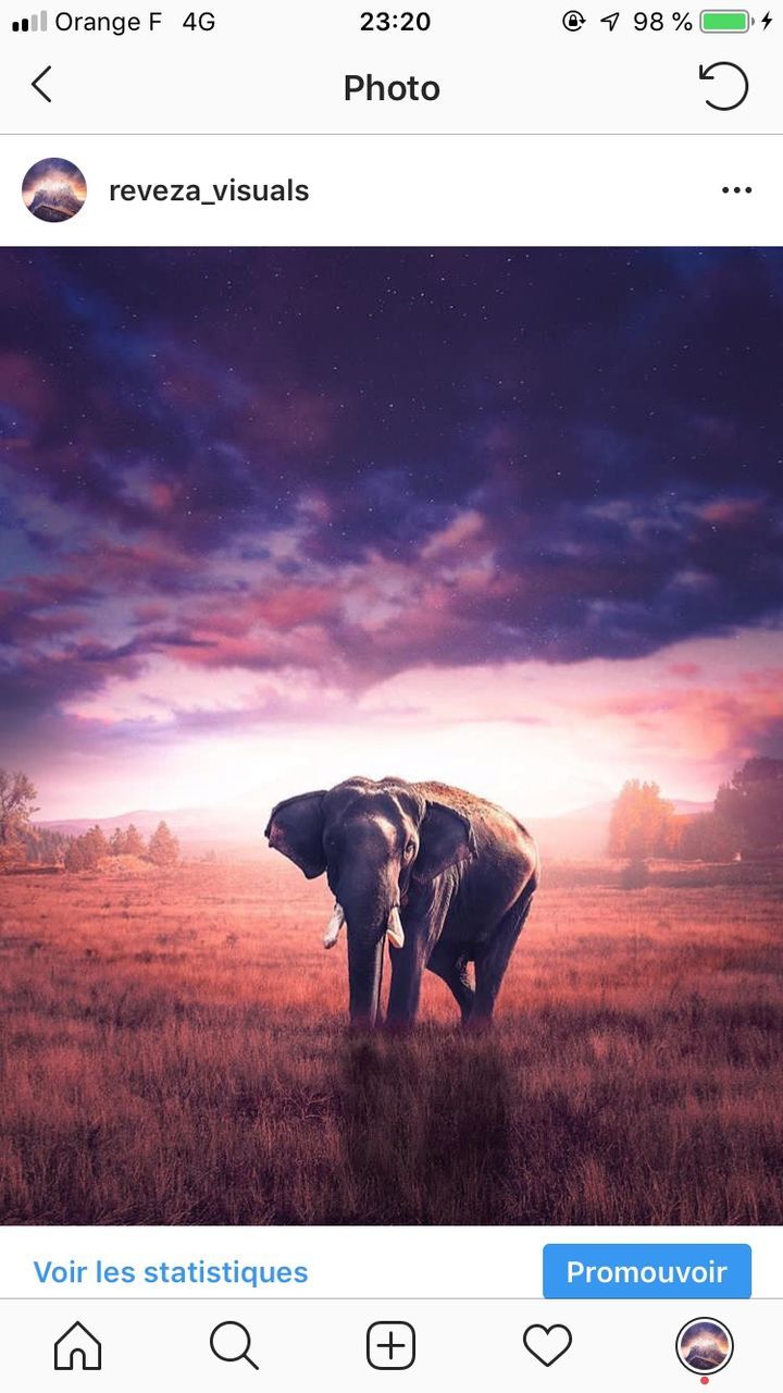 mammal, animal themes, animal, cloud - sky, field, one animal, text, communication, domestic animals, sky, nature, domestic, animal wildlife, western script, no people, standing, livestock, sign, outdoors, land, digital composite