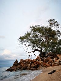 Scenic view of rocks by sea against sky