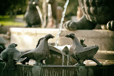 Close-up of bird sculpture fountain