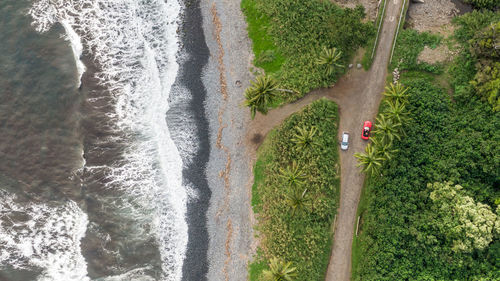 Aerial view of plants and trees growing on land by sea