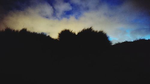 Low angle view of silhouette trees against sky