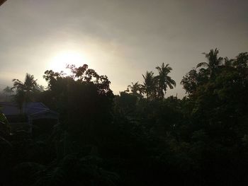 Low angle view of trees against sky