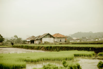 Houses on field against sky