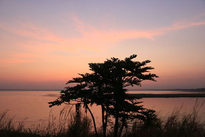 Silhouette tree by sea against romantic sky at sunset