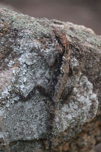 Full frame shot of rocks