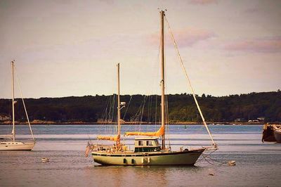 Boats sailing in sea