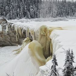 Panoramic view of frozen lake in forest during winter